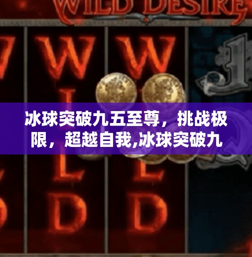冰球突破九五至尊，挑战极限，超越自我,冰球突破九五至尊