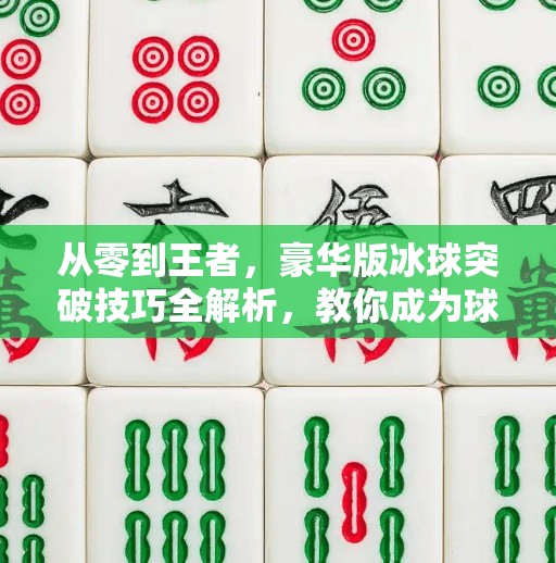 从零到王者，豪华版冰球突破技巧全解析，教你成为球场上的闪电刺客！豪华版冰球突破技巧教学