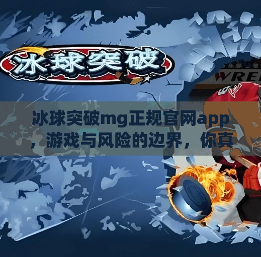 冰球突破mg正规官网app，游戏与风险的边界，你真的了解吗？冰球突破mg正规官网app