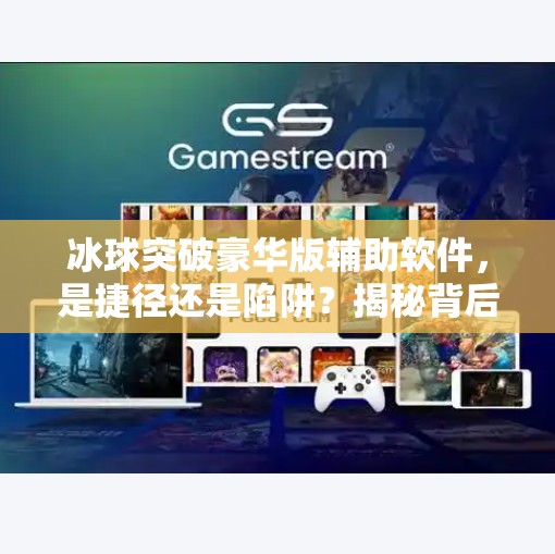 冰球突破豪华版辅助软件，是捷径还是陷阱？揭秘背后的风险与真相,冰球突破豪华版辅助软件