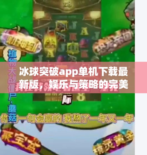 冰球突破app单机下载最新版，娱乐与策略的完美结合，新手也能秒变高手！冰球突破app单机下载最新版