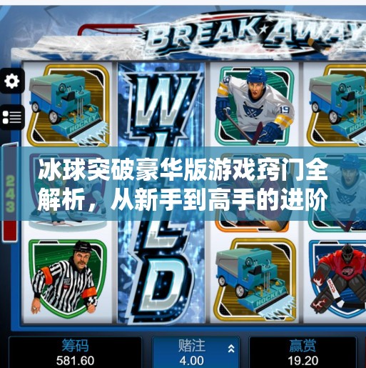 冰球突破豪华版游戏窍门全解析，从新手到高手的进阶秘籍！冰球突破豪华版游戏窍门在哪