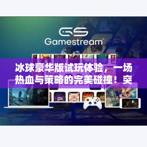 冰球豪华版试玩体验，一场热血与策略的完美碰撞！突破冰球豪华版试玩链接