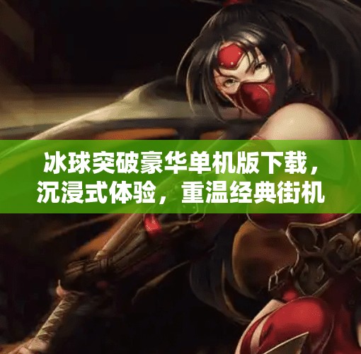 冰球突破豪华单机版下载，沉浸式体验，重温经典街机乐趣,冰球突破豪华单机版下载a