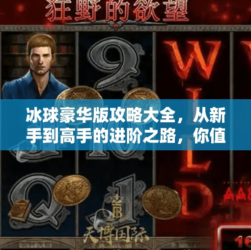 冰球豪华版攻略大全，从新手到高手的进阶之路，你值得拥有！突破冰球豪华版攻略大全