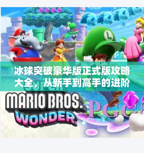 冰球突破豪华版正式版攻略大全，从新手到高手的进阶之路，轻松赢在起跑线！冰球突破豪华版正式版攻略大全