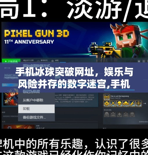 手机冰球突破网址,娱乐与风险并存的数字迷宫,手机冰球突破网址 手机冰球突破网址,娱乐与风险并存的数字迷宫,手机冰球突破网址